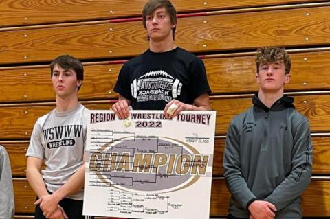 BIEREMA AND TJEERDSMA ADVANCE TO STATE WRESTLING TOURNAMENT